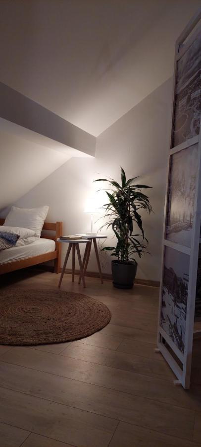 NikšićHouse 11アパートメント エクステリア 写真