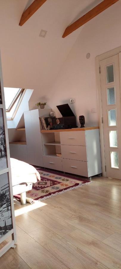NikšićHouse 11アパートメント エクステリア 写真