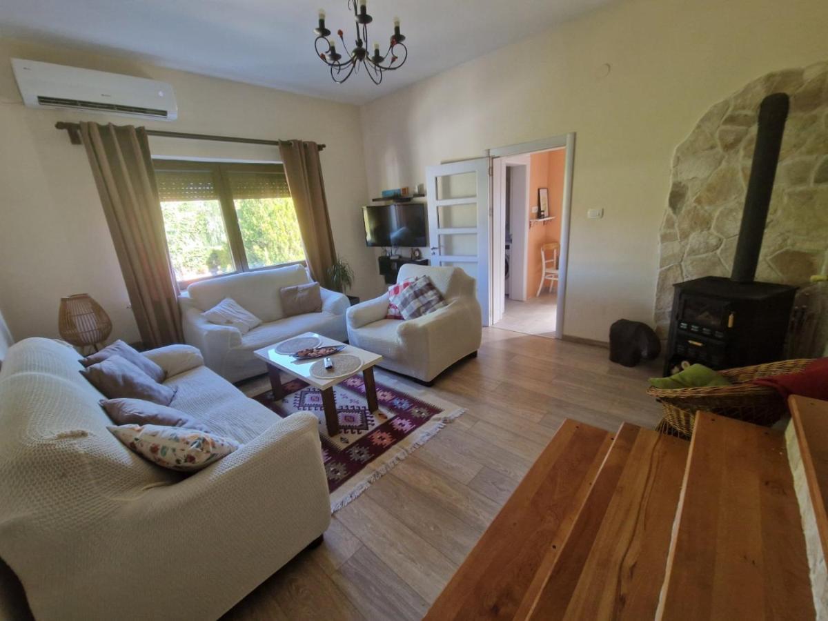 NikšićHouse 11アパートメント エクステリア 写真